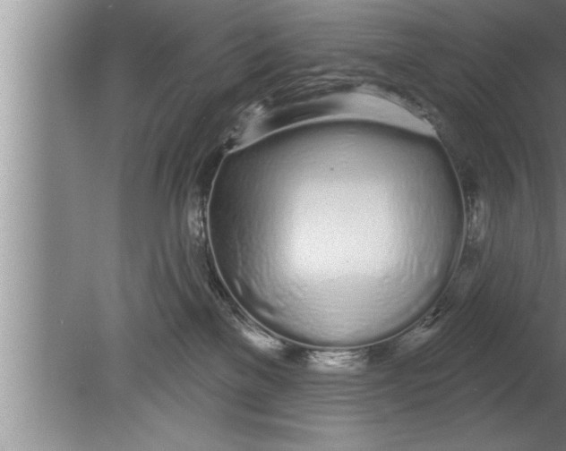 X0000080130137200612302046