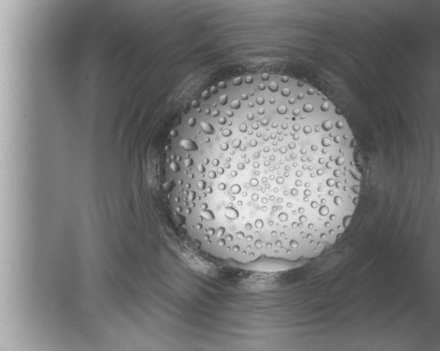 X0000080130138200612302046