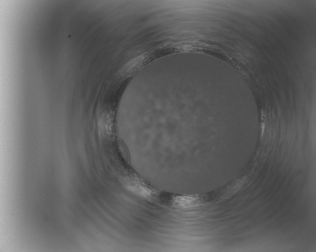 X0000080130139200612302046