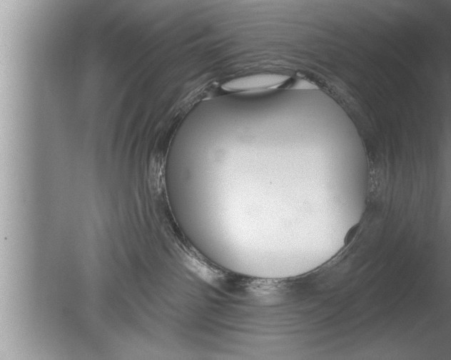 X0000080130142200612302046