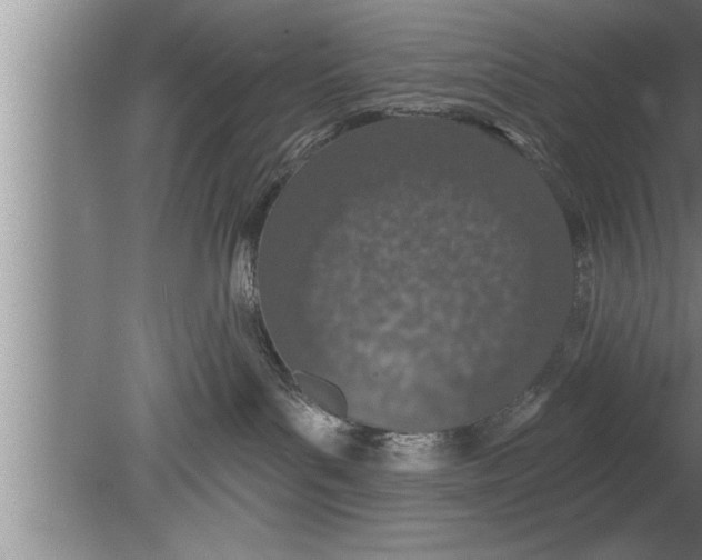 X0000080130143200612302046