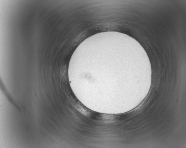 X0000080130144200612302046