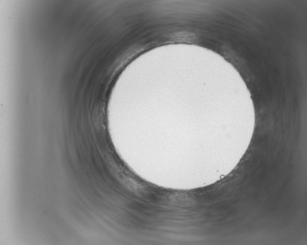 X0000080130146200612302045