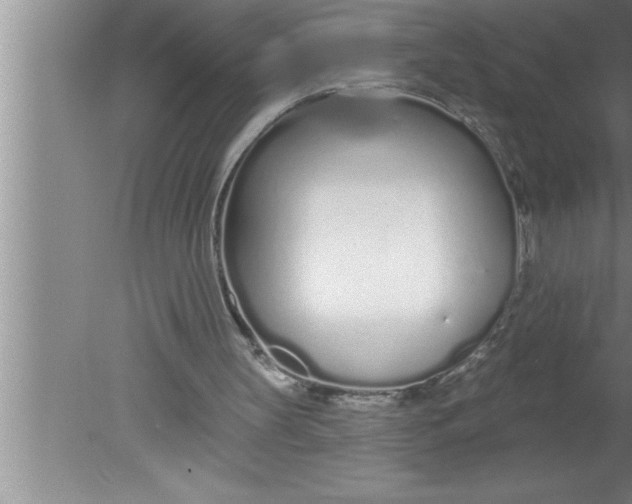 X0000080130147200612302045