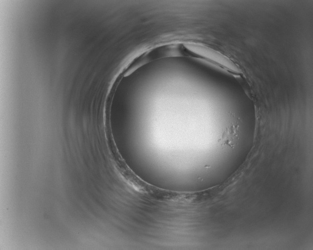 X0000080130148200612302045