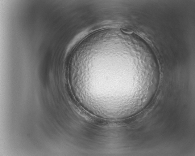 X0000080130149200612302045