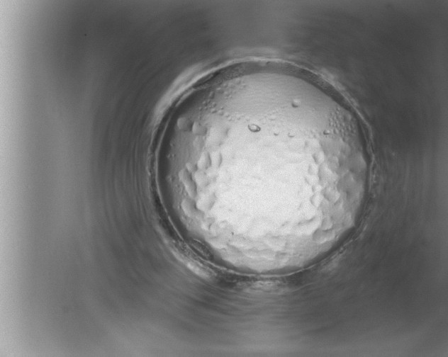 X0000080130151200612302045