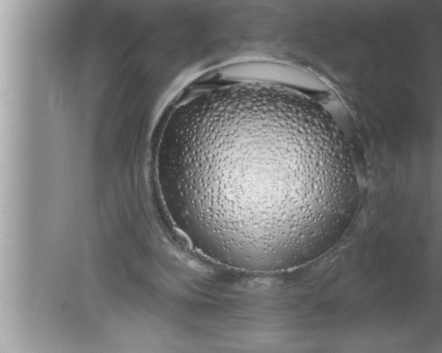 X0000080130152200612302045