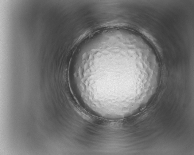 X0000080130153200612302045