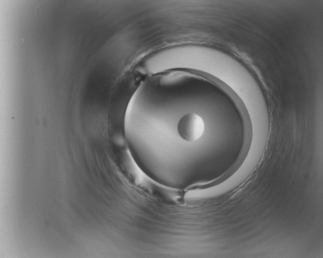 X0000080130154200612302045