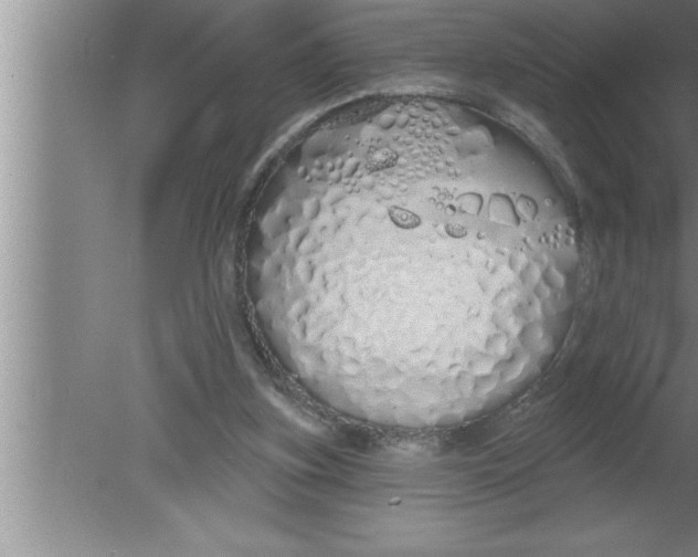 X0000080130155200612302045