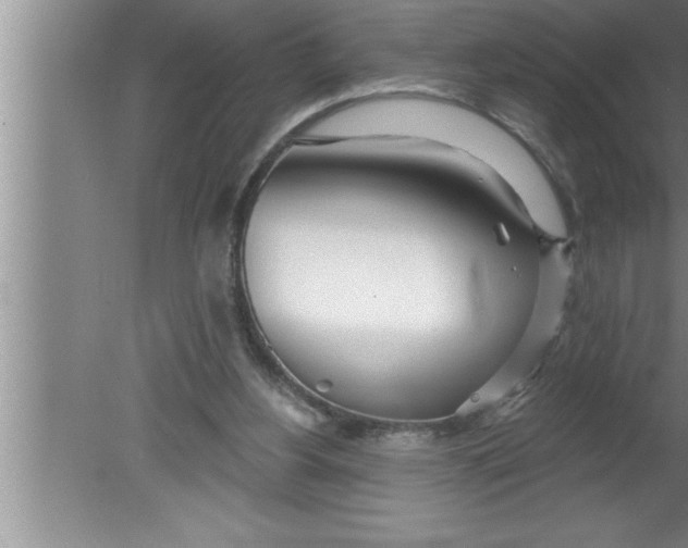 X0000080130156200612302045