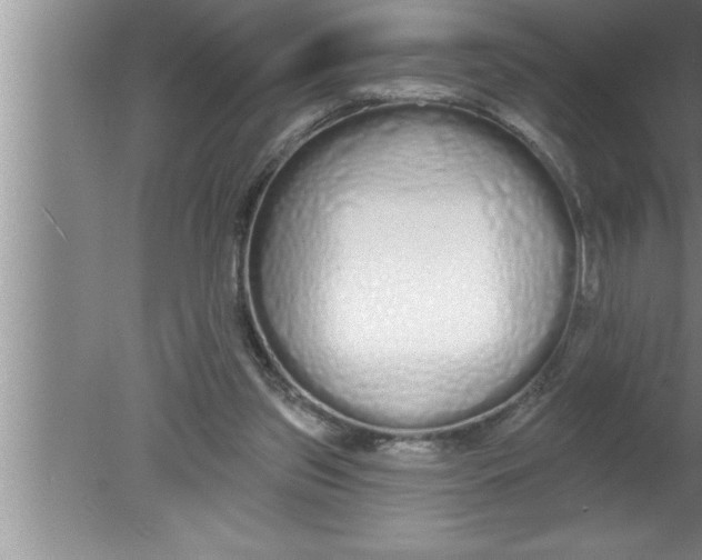 X0000080130157200612302045