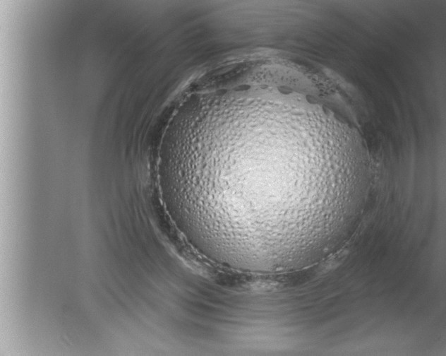 X0000080130158200612302045