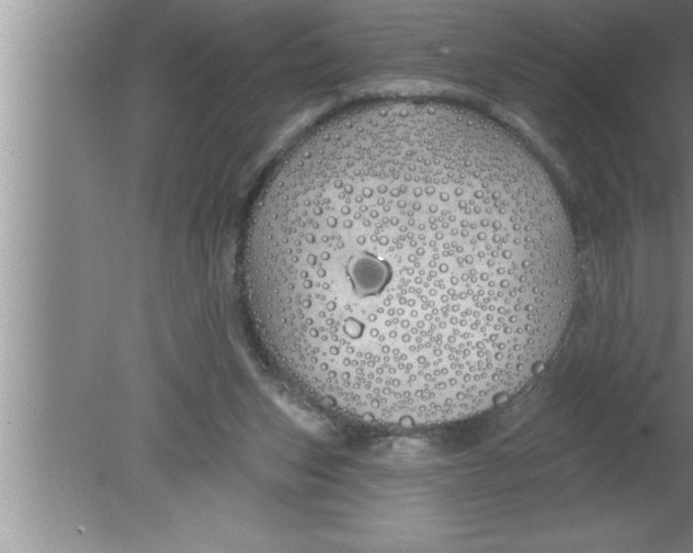 X0000080130159200612302045