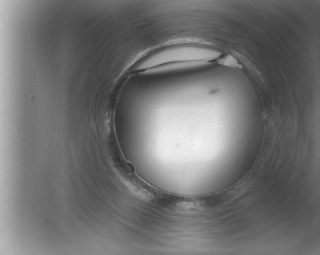 X0000080130160200612302045