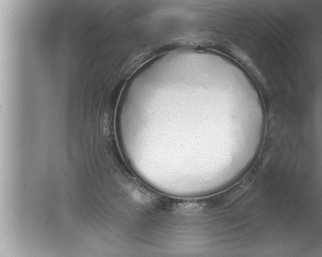 X0000080130161200612302045