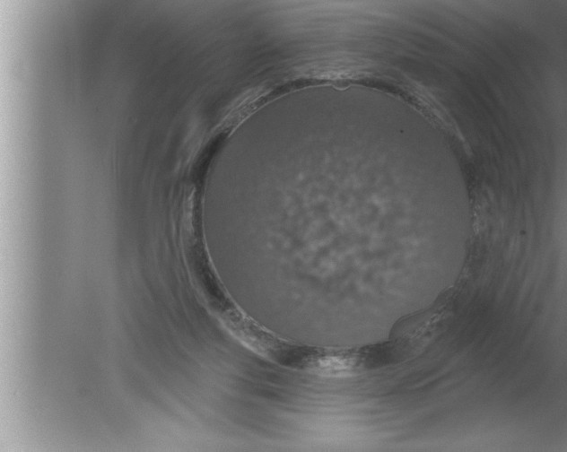 X0000080130163200612302045