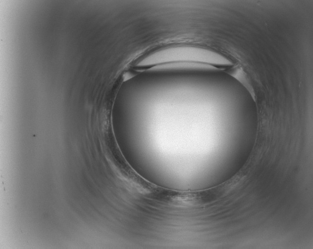 X0000080130164200612302045