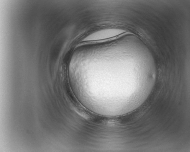 X0000080130165200612302045