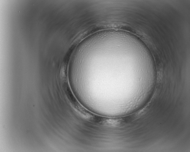 X0000080130166200612302045