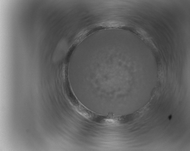 X0000080130167200612302045