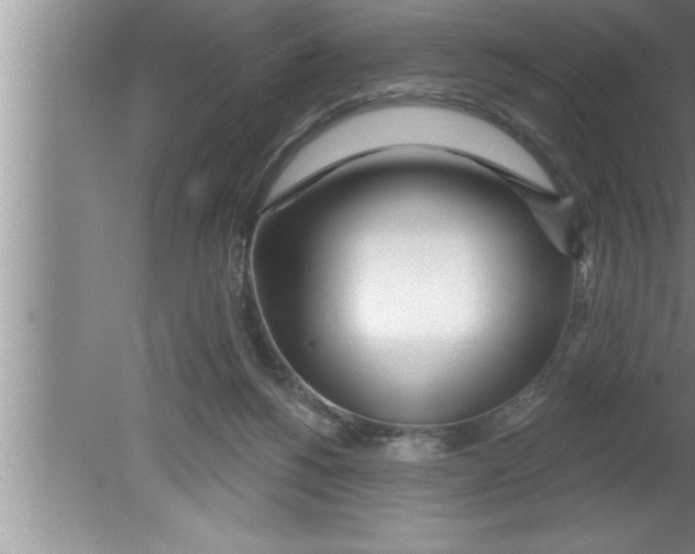 X0000080130168200612302045