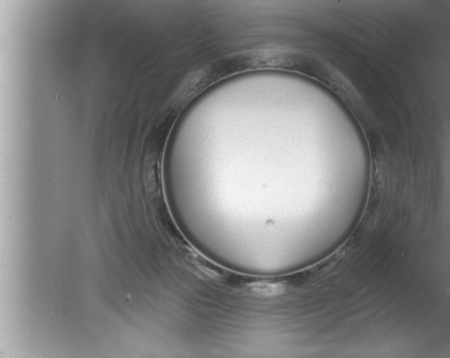 X0000080130169200612302045