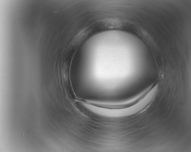 X0000080130170200612302045