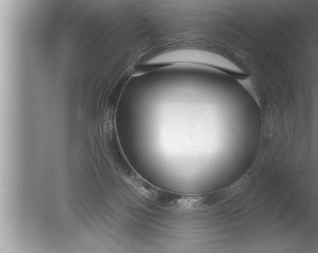 X0000080130172200612302045