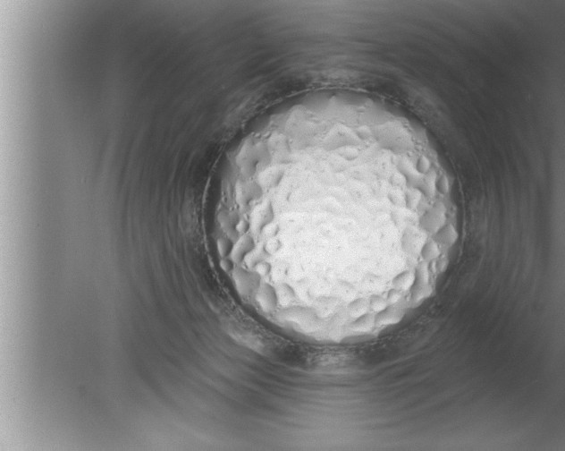 X0000080130173200612302045