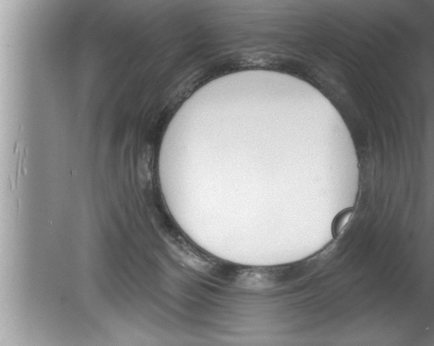 X0000080130174200612302045