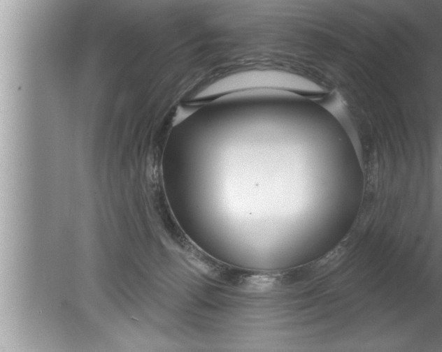 X0000080130176200612302045