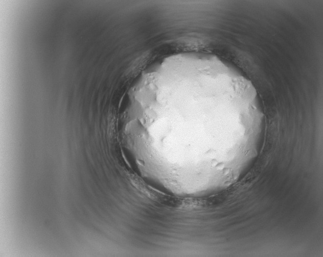 X0000080130177200612302045