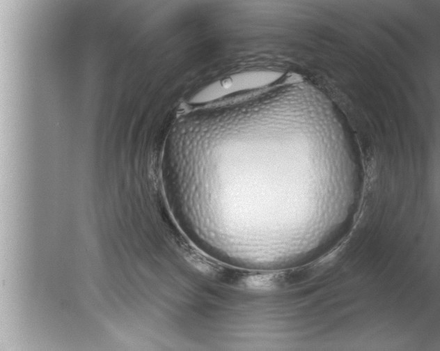 X0000080130178200612302045