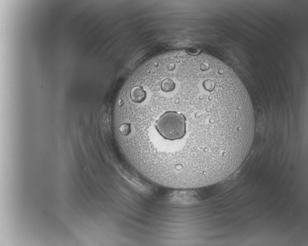 X0000080130179200612302045