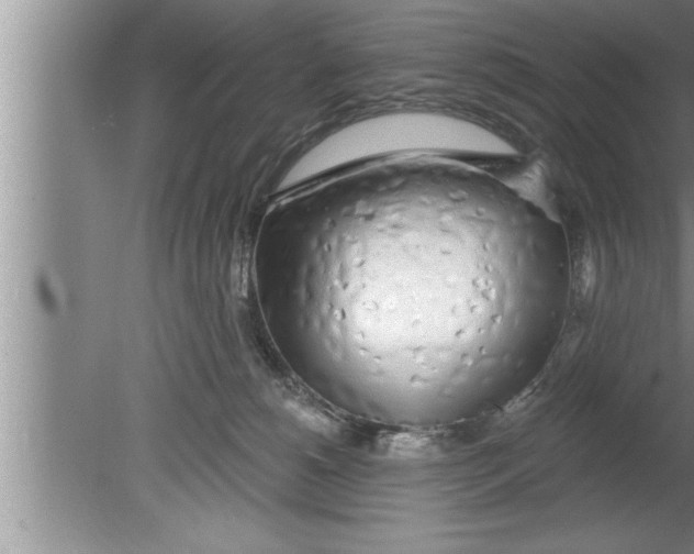 X0000080130180200612302045