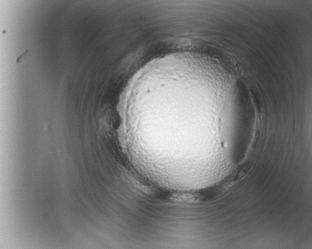 X0000080130181200612302045