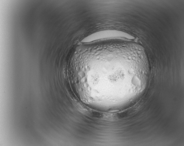 X0000080130185200612302045