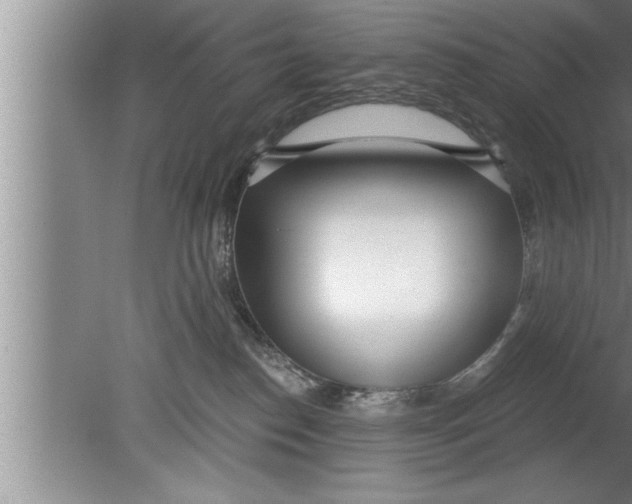 X0000080130186200612302045