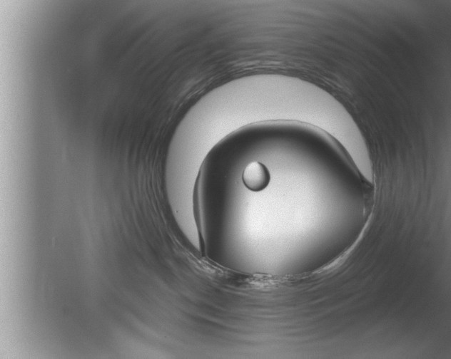 X0000080130190200612302045