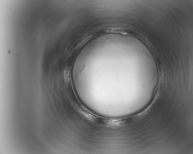 X0000080130191200612302045