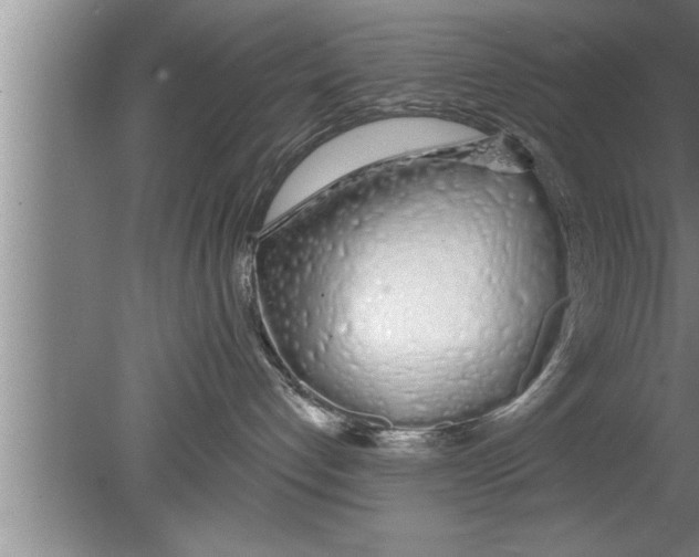 X0000080130192200612302046