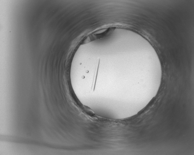 X0000080130193200612302045