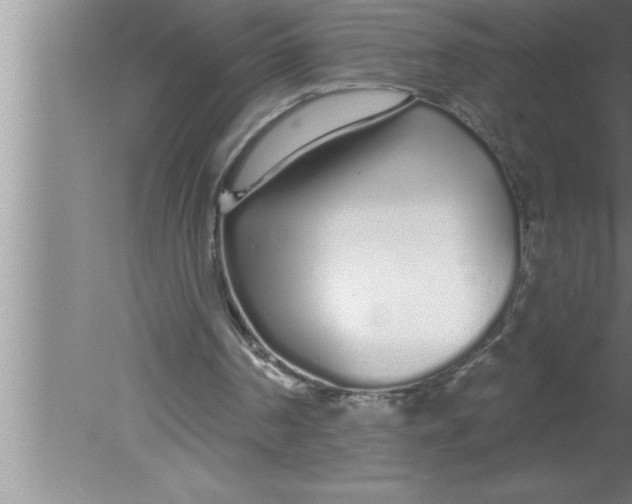 X0000080130194200612302045