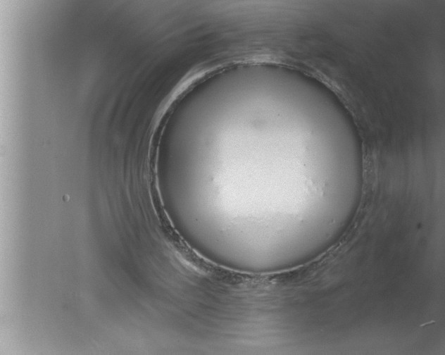 X0000080130195200612302045