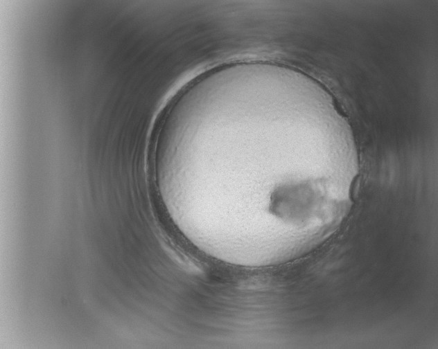 X0000080130196200612302045