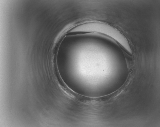 X0000080130197200612302045