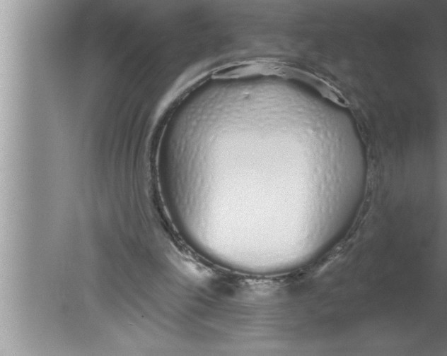 X0000080130198200612302045