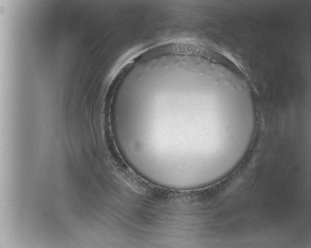 X0000080130199200612302045